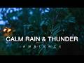 10 Hour Rain Falling On Leaves With Distant Thunder Wind Sounds Relaxing Nature Ambience