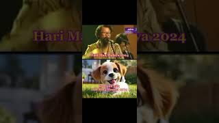 Download lagu Hari Mau Malaya 2024, Guk..guk.. Adi Bing Slamet 1974 mp3