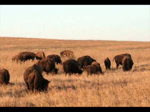 Miki Ryvola: Dům smutný víly