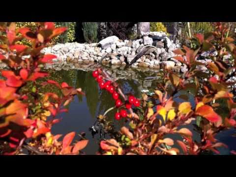 Pensjonat u-Ani ★★★ Zakopane