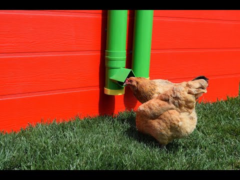 Rugged Ranch Poultry Feeder Product Review