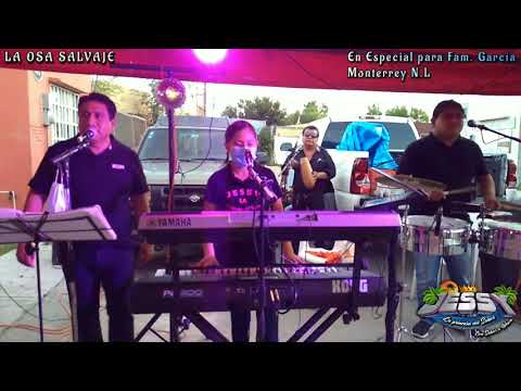 LA OSA - JESSY LA PRINCESA DEL SABOR.