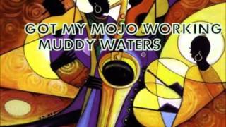 GOT MY MOJO WORKING - MUDDY WATERS - NEWPORT 1958