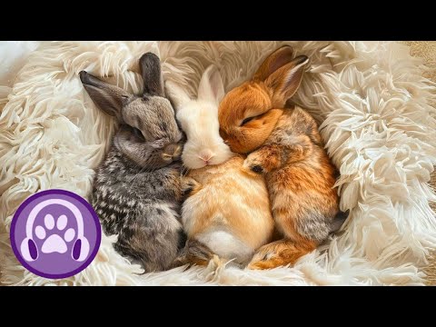 EXTRA-RELAXING Music for Rabbits - Soothe Anxious Bunnies FAST 💤🐰