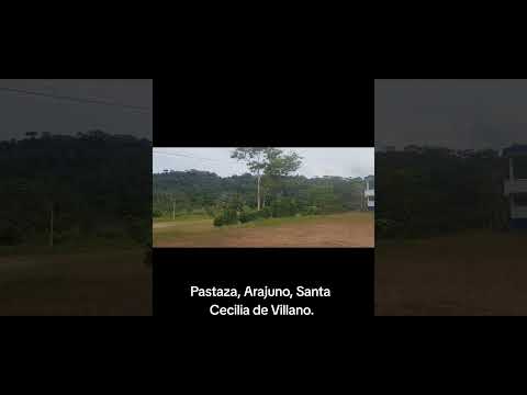 6 de septiembre de 2025