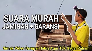 Download lagu SP   SI MURAH JAMINAN BERGARANSI, SIMAK VIDEONYA ! mp3