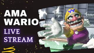 【スマブラSP】勝ちたいワリオメイト