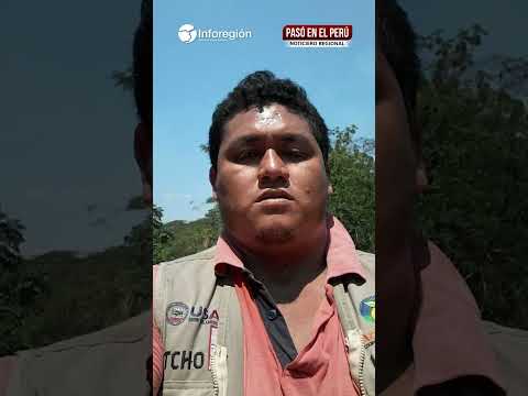 Huánuco: Ataque armado en Puerto Inca reaviva alerta por riesgo a trabajadores forestales
