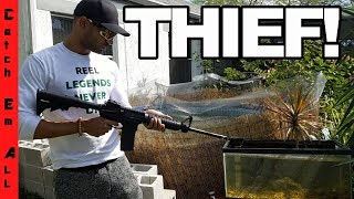THIEF HURT MY PETS! Trying to Steal my Fish! 100% REAL