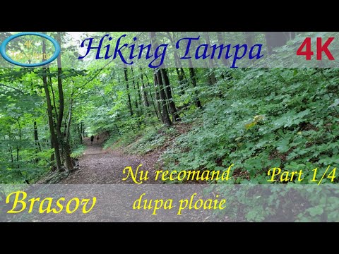 Hiking ~ Traseu serpentine spre vf Tampa ~ Brasov ~ part I~ Romania ~ 4k60fps ~ Drumetie