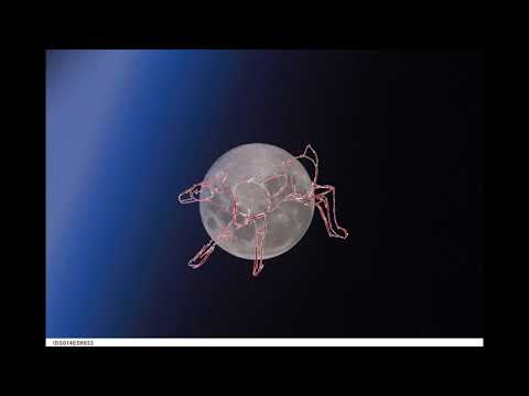 Kulibaba - In circles [throwaway]