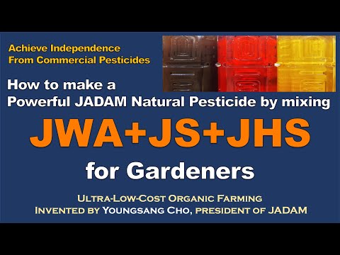 February 2023 JADAM Lecture tour in the USA