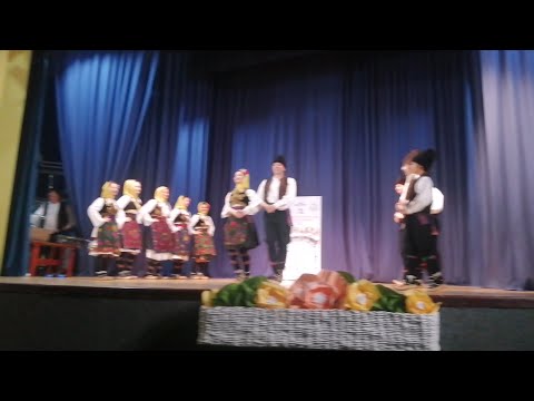 KUD Branko Miljković na nastupu u Doljevcu