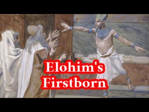 The Messiah is NOT Elohim's Firstborn Son