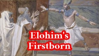 Video: In Exodus 4:22, Israel is the firstborn, not Jesus - RTC