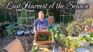 Racing the Freeze | One Last Garden Harvest Before Winter