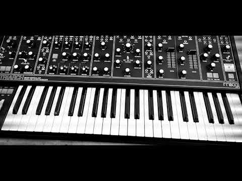 Moog Matriarch Demo