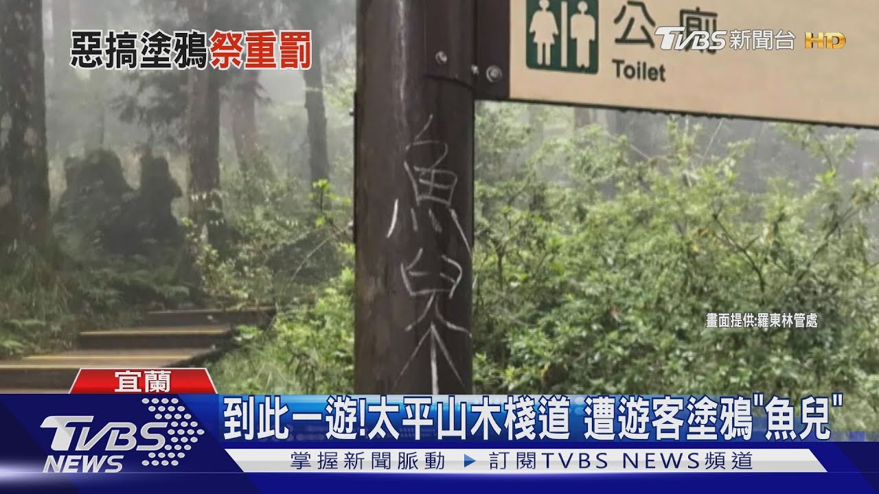 到此一遊!太平山木棧道　遭遊客塗鴉「魚兒」