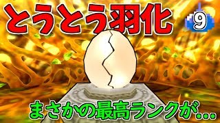 #9 初めてのたまご孵化、まさかの最高ランク出た!?【テリーのワンダーランドSP】