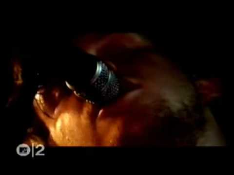 Crackout-You dumbfuck