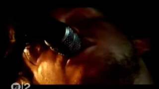 Crackout-You dumbfuck