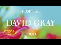 David Gray - Hospital Food - Radio Edit (Official Audio)