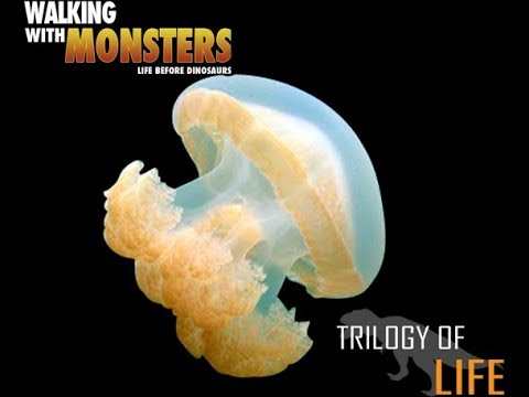 TRILOGY OF LIFE - Walking with Monsters - "the first jelly fish"