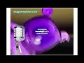 Klaskyklaskyklaskyklasky Gummy Bear In G Major 37 FOR REAL