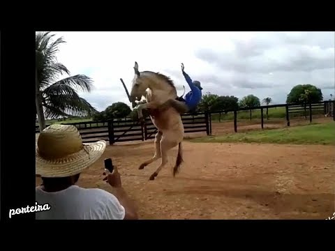 OS peão  mais   ABEIA    do   BRASIL...   Cowboys FAILS