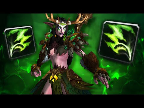 Feral Druid Openers Are BRUTAL For This Demon Hunter! (5v5 1v1 Duels) - PvP WoW: The War Within
