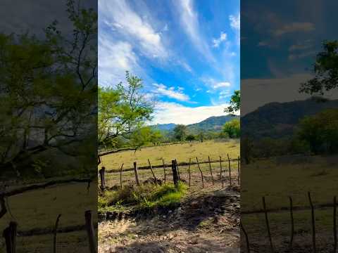 AFUERAS DE EL SAUCE LEÓN #shorts #short #youtubeshorts