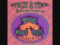 The Orange Alabaster Mushroom - Mister Day ...