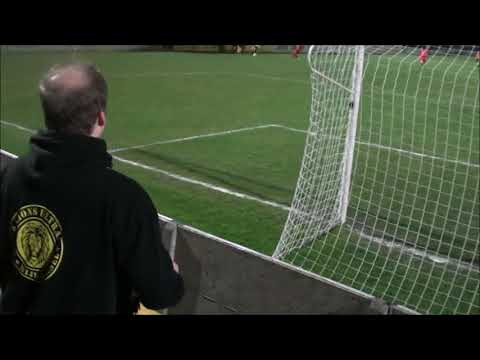 Zwarte leeuw Bornem 23 februari 2019 1 0