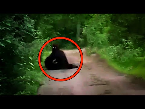 15 Scary Videos Keeping Spectators Awake All Night