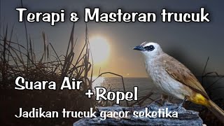Download lagu TERAPI trucukan biar cepat Gacor - Ampuh jadikan burung trucukan agar bunyi gacor ropel panjang mp3