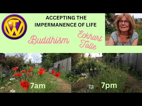 Buddhism   Eckhart Tolle   Impermanence