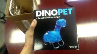 DINOPET from biopop - Quick Unboxing of 