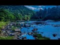 TRIBALS SONGS IRULAR ATTPPADI AVARAKAI PINCHUEDUTHU POKKILAMMA CHEETY