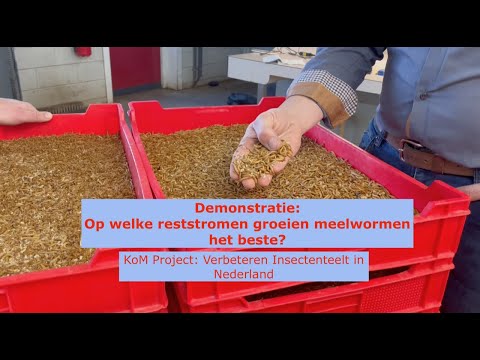 , title : 'Verbeteren insectenteelt Nederland: Op welke reststromen groeien meelwormen het beste?'