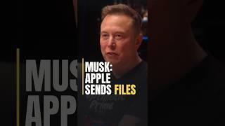 Musk: Apple Doesn't Make Phones