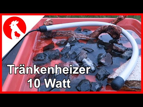 027 Neuer Ersatztränkenwärmer für den Tränkenheizer-Test - Update - Jensman and the Huhns🐔