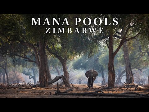 Africa's Eden: Mana Pools National Park (4K)