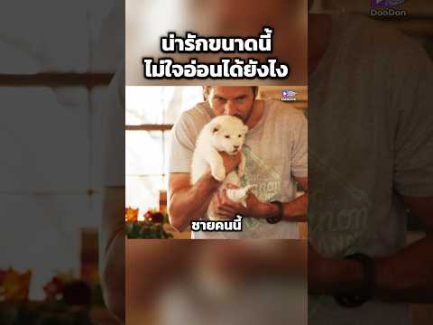 น่ารักขนาดนี้ ไม่ใจอ่อนได้ยังไง #shorts #fypシ #fyp