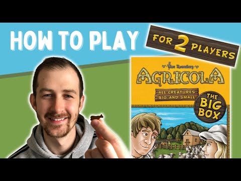 How to Play Agricola: All Creatures Big & Small