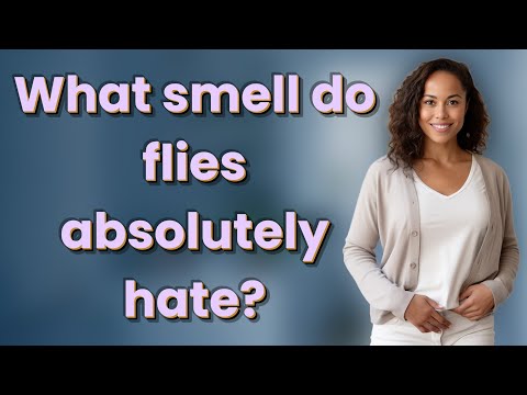 What smell do flies absolutely hate?