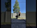 Wannabe bodybuilder gets mogged by house cat