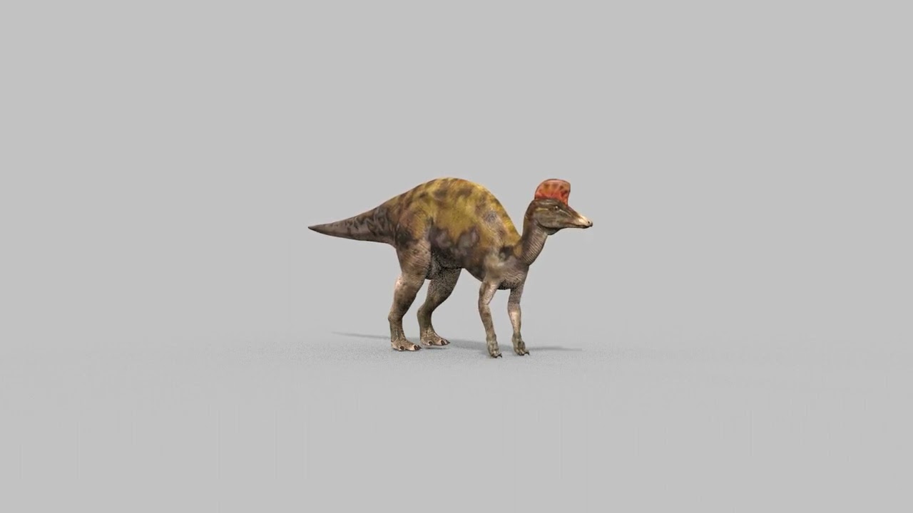 Real Animated Corythosaurus HD 3D Model
