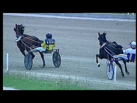 Napoli Trotto 3/12/2021 - 4ª corsa