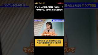 アメリカが消える那覇（NATO）？「欧州の柱」崩壊と赤点の防衛力 #国民民主 #国民民主党 #玉木雄一郎
