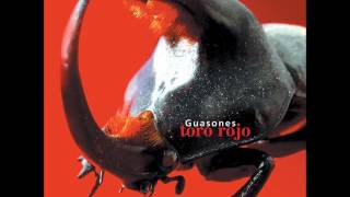 Video thumbnail of "Guasones - 100 años (AUDIO)"